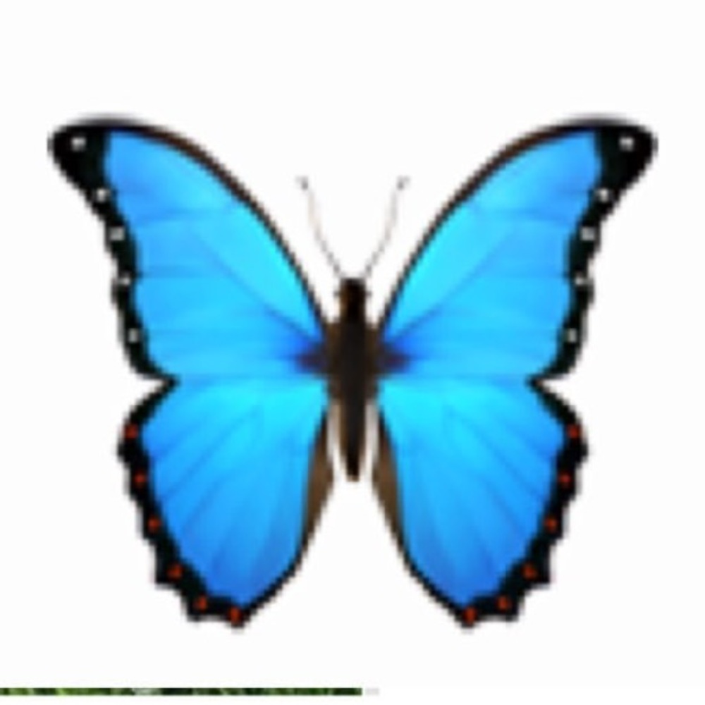 Meet your Posher, Ashlyns